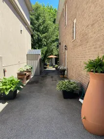 Casa Savoia - Image 2