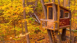 Tree house. 3 bedrooms / tree house 3bdr - Image 5