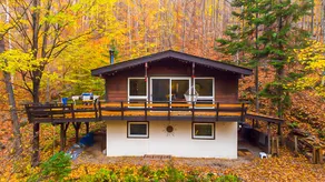 Tree house. 3 bedrooms / tree house 3bdr - Image 2