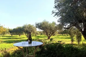 Oikos Wooden Retreat - Image 2