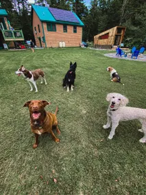 River House Apartment - Dog friendly - Image 3