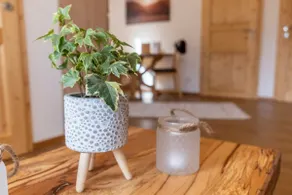 Seraphine apartment in a quiet, sunny location. - Image 3