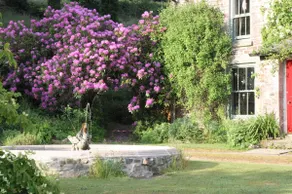 Devon Country Paradise - Image 4
