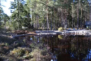 Kuresoo. Sauna house behind the pond - Image 5