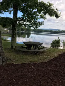 Dragonfly Cottage on Beautiful Mountainview Lake - Image 2