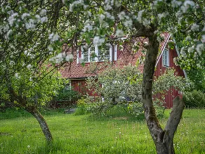 Cottage in the middle of nature with wonderful garden - Image 2