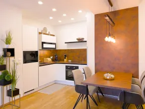 Penthouse with two bedrooms and parking - Image 4