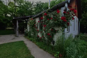 Igricz Farmház - Image 4