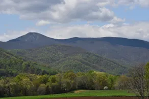 Romantic Cottage Nestled in the Blue Ridge - Image 4