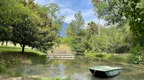 Quinta Macarena, enjoy the pool, oaks and lake - Image 5