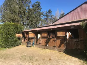 Cozy equestrian farmhouse, 2 bedrooms. - Image 5