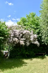 Cozy cottage with large garden close to the fjord - Image 2