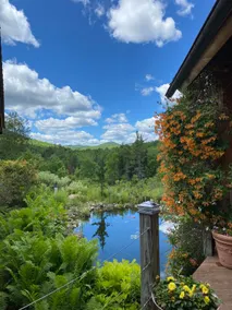 ADK Mountaintop Chalet, 15 acres, Birch Tree Camp - Image 5