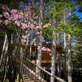 Lakefront Onsen Hideaway | Private Outdoor Bath - Image 3
