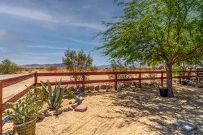 Cozy Guest Suite W/ Private Entrance & Backyard - Image 3