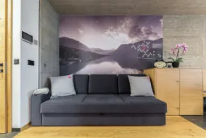Apartment Bohinjcan - Image 5