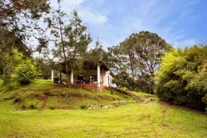 Hummingbird Cabin - Image 2