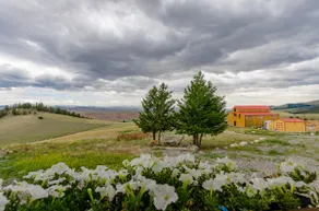 The Lodge at Arcady Ridge Ranch, SWIM SPA + SAUNA sleeps up to 14! - Image 4