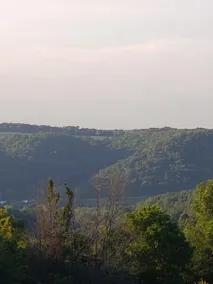 River Valley Cabin - Image 5