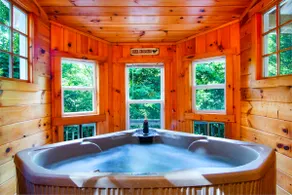 Indoor Hot Tub, Fire Pit, Romantic Couples Retreat - Image 2
