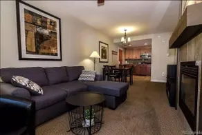 One Bdrm Condo Ski In / Ski Out, Hot Tub, Fire Pit - Image 3