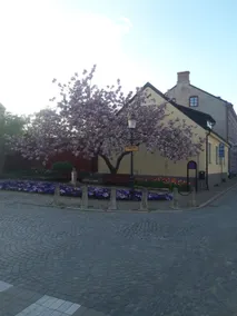 Stay in the historic center of central Ystad - Image 3