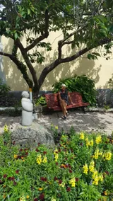 Stay in the historic center of central Ystad - Image 5