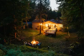 Dog friendly Muskoka. Fun from forest to river. - Image 3