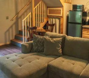 Talkeetna Blueberry Chalet: Enjoy the woods! - Image 4