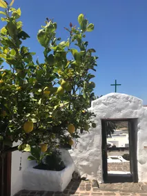 Casa Alegria II - Image 4