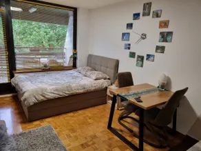 ZenPartment Bovec - Image 4