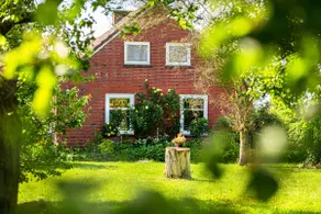 Polderhaus-Deichblick (right on the Dollart) - Image 3