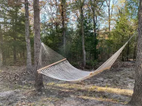 East Texas-close to Canton and Callender Lake - Image 3