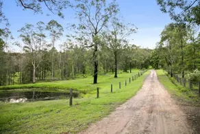Sawyers Gully trails - Image 4