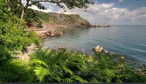 Woodland garden apartment. Coastal walks. - Image 5