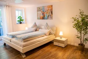 Apartment DaVinci - Sauna, Kamin, Garten, E-Bikes - Image 4