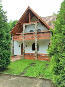 Cozy villa in the middle of nature with fireplace - Image 2