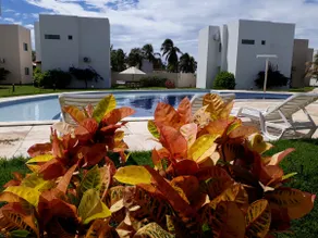 Condominium Paradise of Maracajaú IV, on the seafront. - Image 3