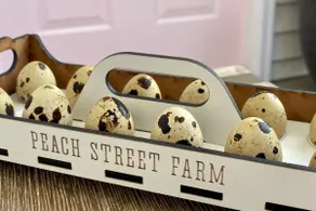 Peach Street Farm: Bunnies, Gardens, Playroom, A/C - Image 4