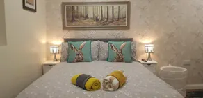 Ceol Cottage, Quaint little one bedroom cottage! - Image 5