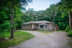 Cheerful 4-bedroom cottage in nature setting - Image 2
