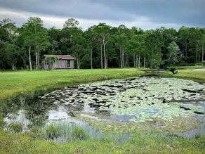 Cypress Lodge w/Theater & Pool Access - Image 4