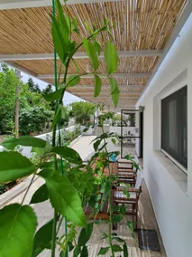 Moscha's 2bedroom apartments. - Image 3