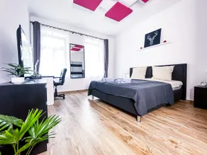 ✿ MODERN NEW BUILDING in the Plagwitz cult district ✿ - Image 3