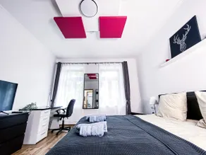 ✿ MODERN NEW BUILDING in the Plagwitz cult district ✿ - Image 4