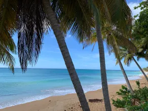 Couples Paradise - Villa BosqueMar, El Cocal Beach - Image 3