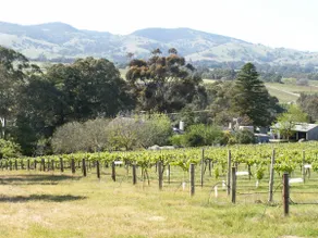 Peace and serenity in the heart of the Barossa - Image 2
