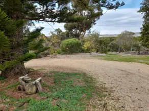 Peace and serenity in the heart of the Barossa - Image 4