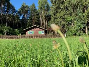 Waldchalet am Eichhof - Image 4