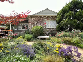 Cheerful Home&Botanic landscape - Image 2